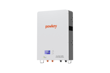 Powerful 51.2V Lifepo4 Battery