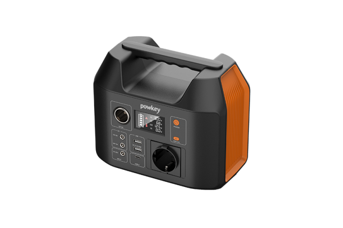 Portable 300W Power Supply